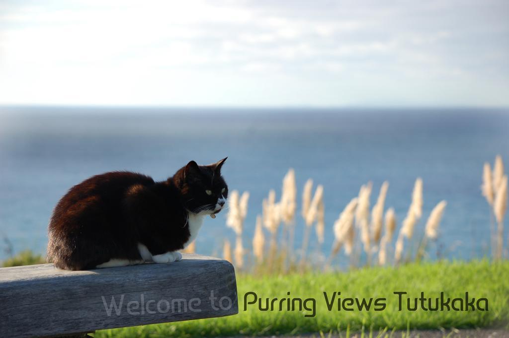 Ocean Purring Views 호텔 투투카카 외부 사진